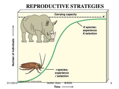 r vs k selection|K and r reproductive strategies .